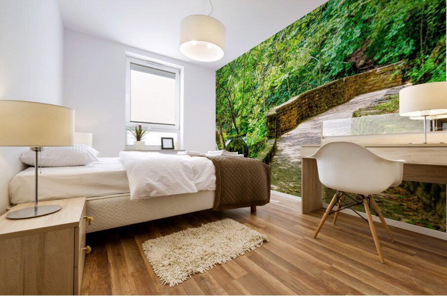 Pathway To Big Spring Mural print