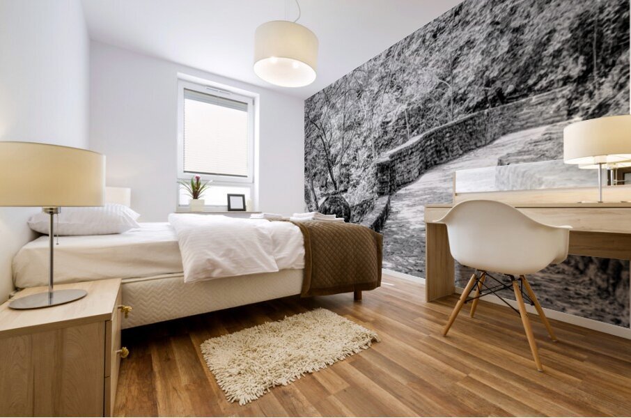 Pathway To Big Spring Grayscale Mural print