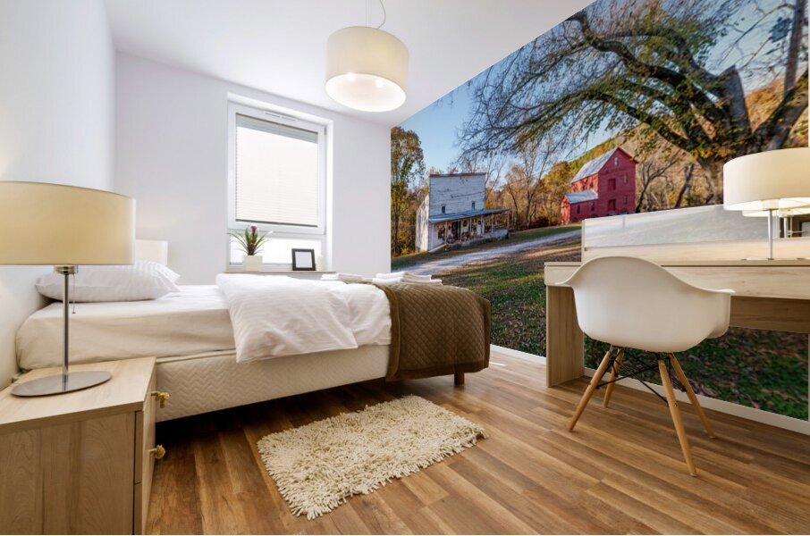 General Store And Topaz Mill Mural print