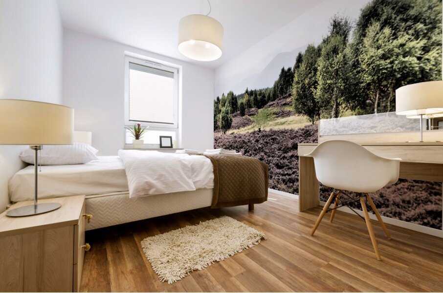 Scottish Highlands Birch Tree Landscape                                                                                                                      Mural print