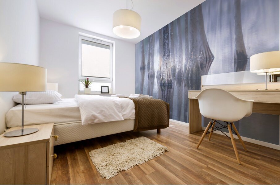 Cypress Tree Reflections Mural print