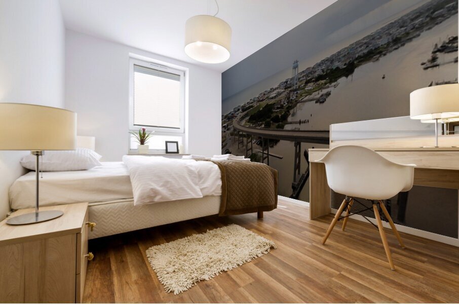 DJI 0088 Mural print