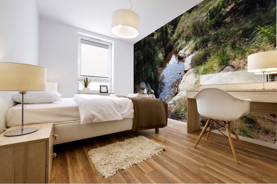 Scottish Highlands Tranquil Forest Stream                                                                                                                      Mural print