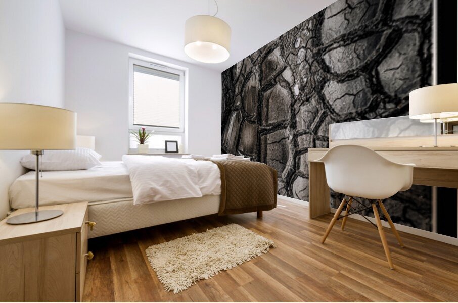 Drought after the Rain Mural print