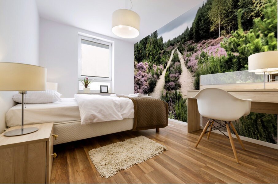   The Scottish Highlands Trail Before Us                                                                                                                    Mural print