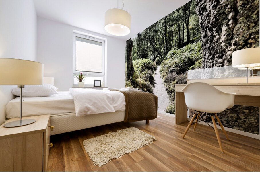  Scottish Highlands Path through the Woodland                                                                                                                     Mural print