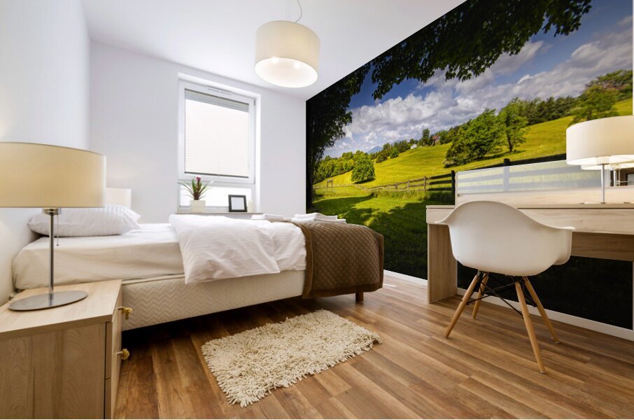 Blue Ridge  Peaks of Otter Mountain  Farm Foothills Mural print