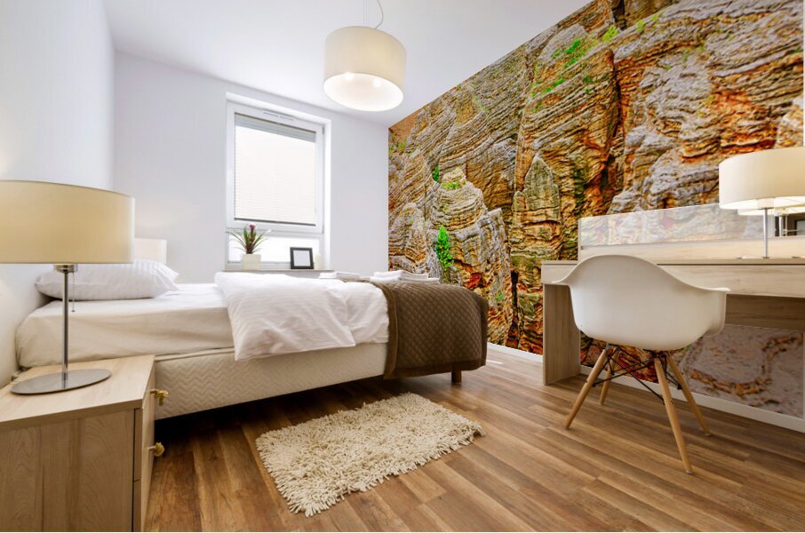 TOP OF THE ROCK  Mural print