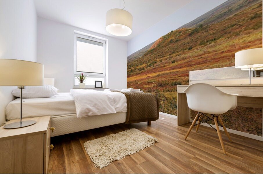 Pingo And Tundra Mural print