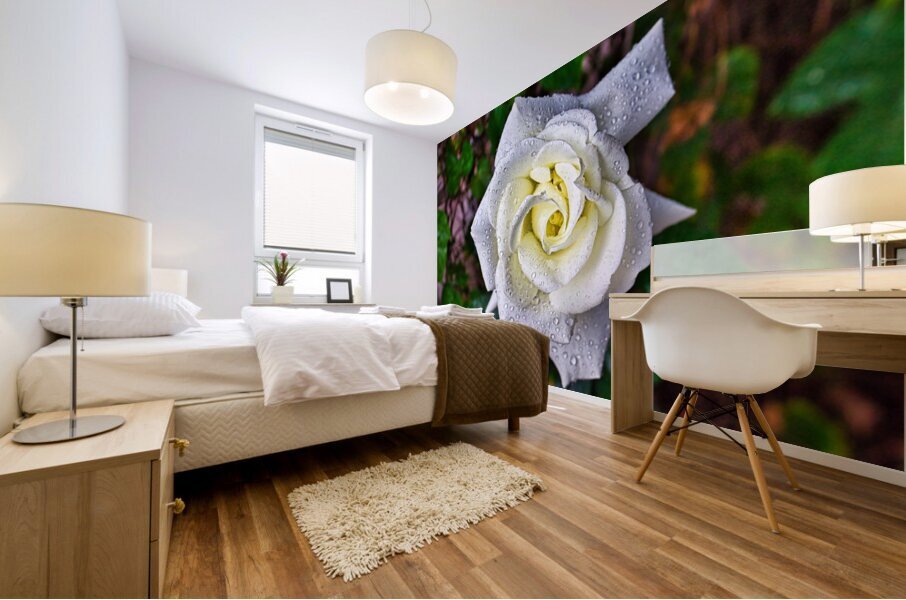 WHITE ROSE   Mural print