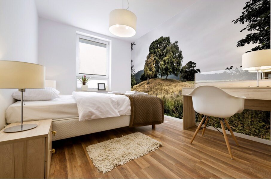 Scottish Highlands Path to Hilltop Trees                                                                                                                       Mural print