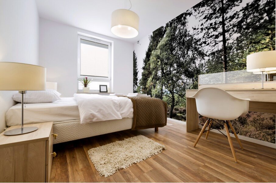  Scottish Highlands Serene Woodland Path                                                                                                                     Mural print