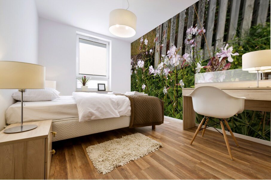 Wildflowers in the Scottish Highlands                                                                                                                      Mural print