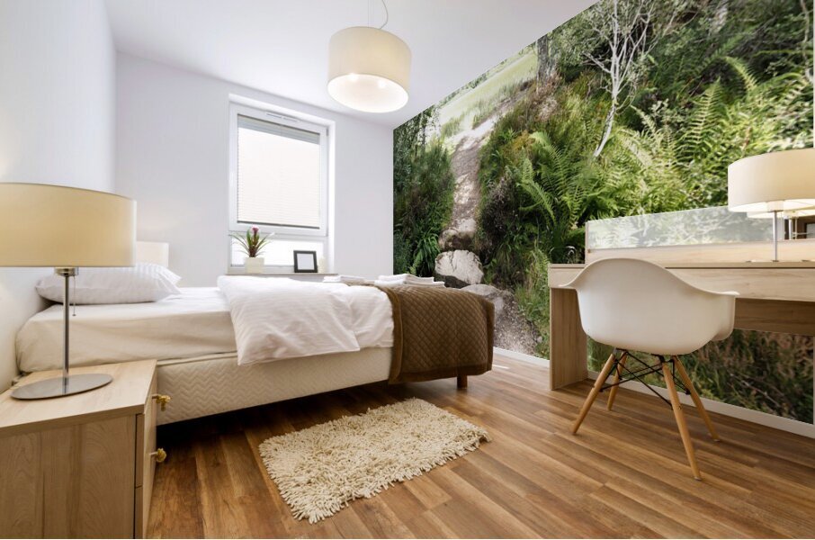 Scottish Highlands Path through the Birch Forest                                                                                                                      Mural print