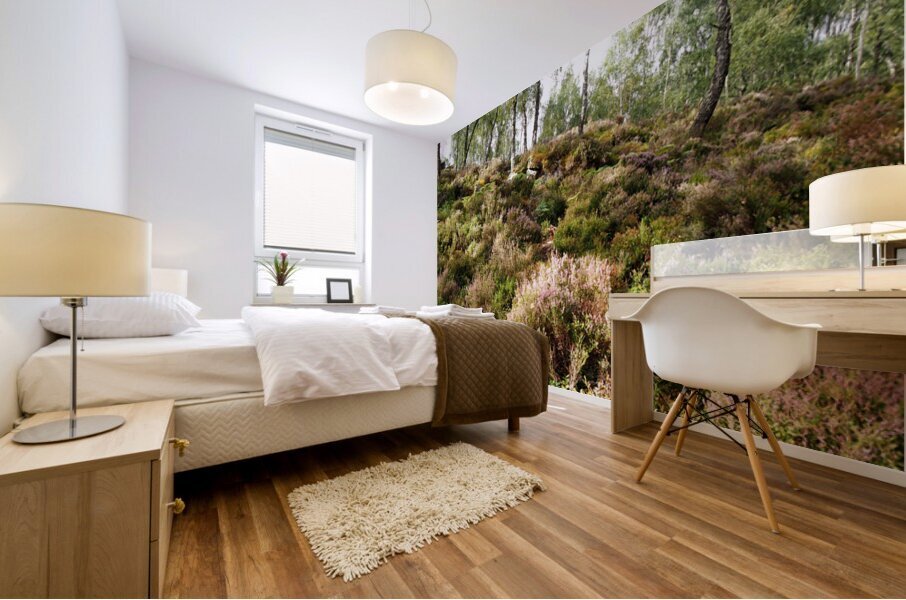  Scottish Highlands Tranquil Woodland Landscape                                                                                  Mural print