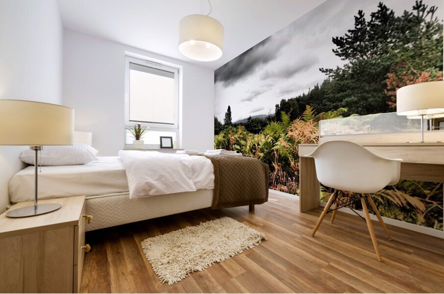 Scottish Highlands Dramatic  Sky Landscape                                                                                                     Mural print