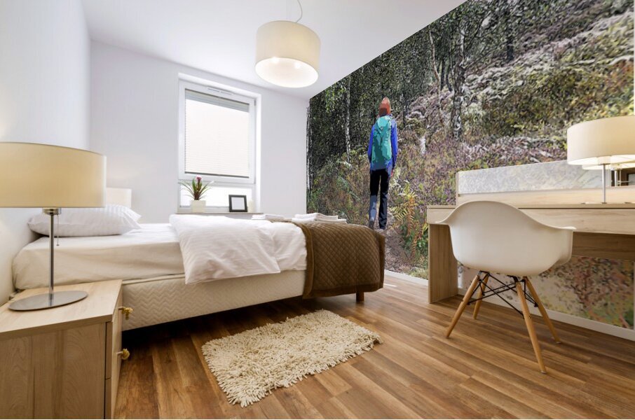  Scottish Highlands Birch Tree Walk                                                                                                                     Mural print
