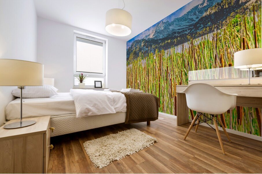 FIELD OF CATTAILS  Mural print