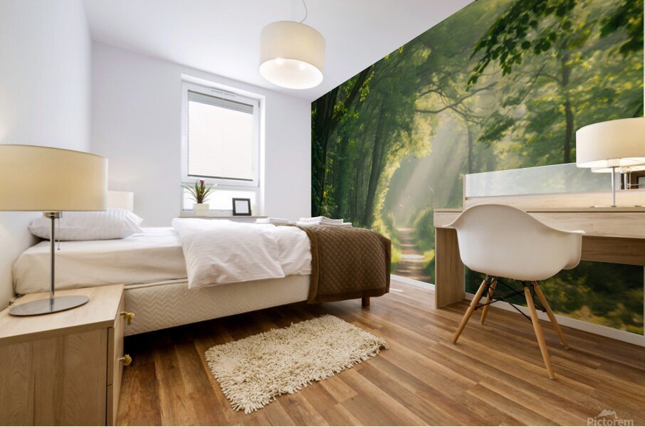 Sunlit Forest Path Mural print