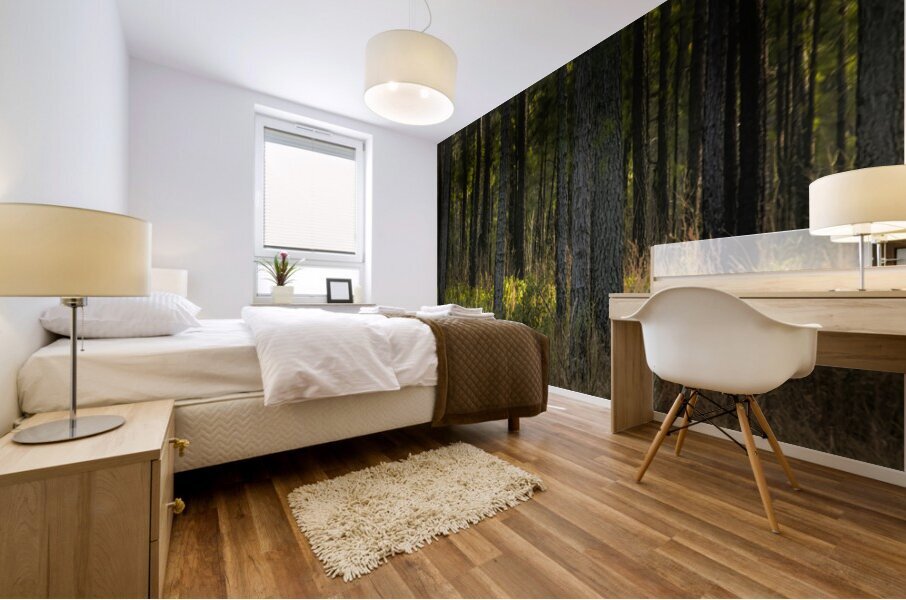 Sunlight Filtering Through Forest Trees Mural print