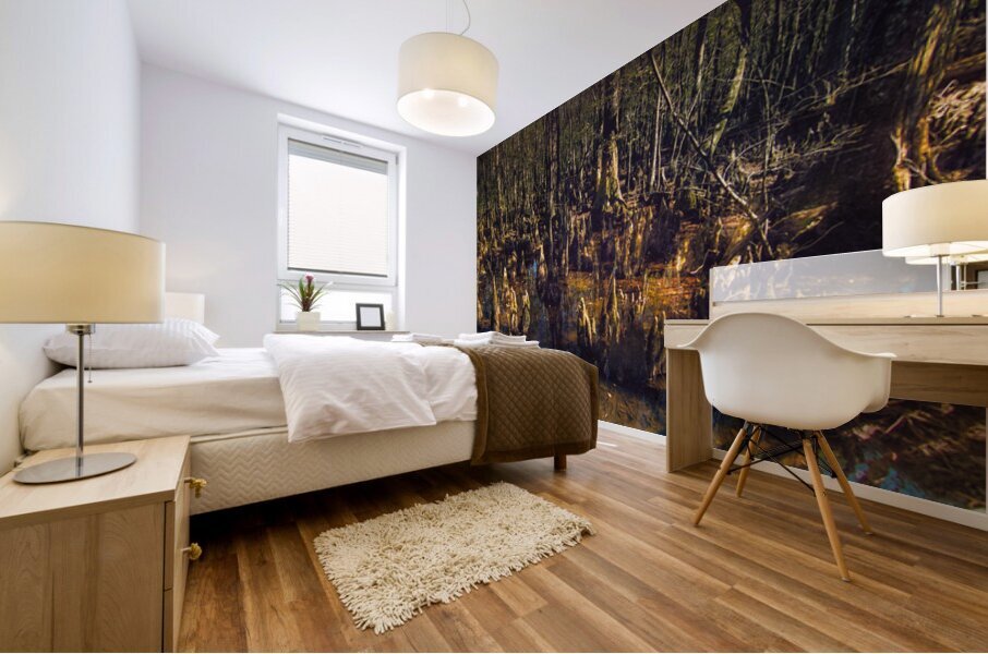 Mysterious Cypress Swamp Mural print