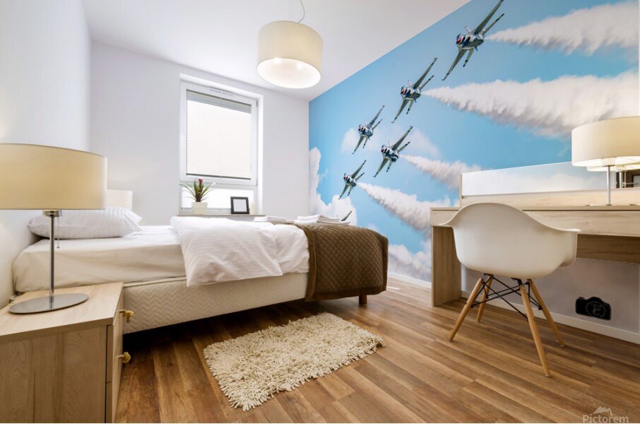 Spectacle aerien Mural print