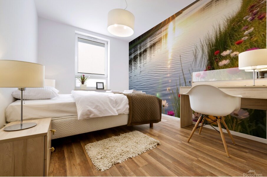 ​Golden Hour on the River Mural print