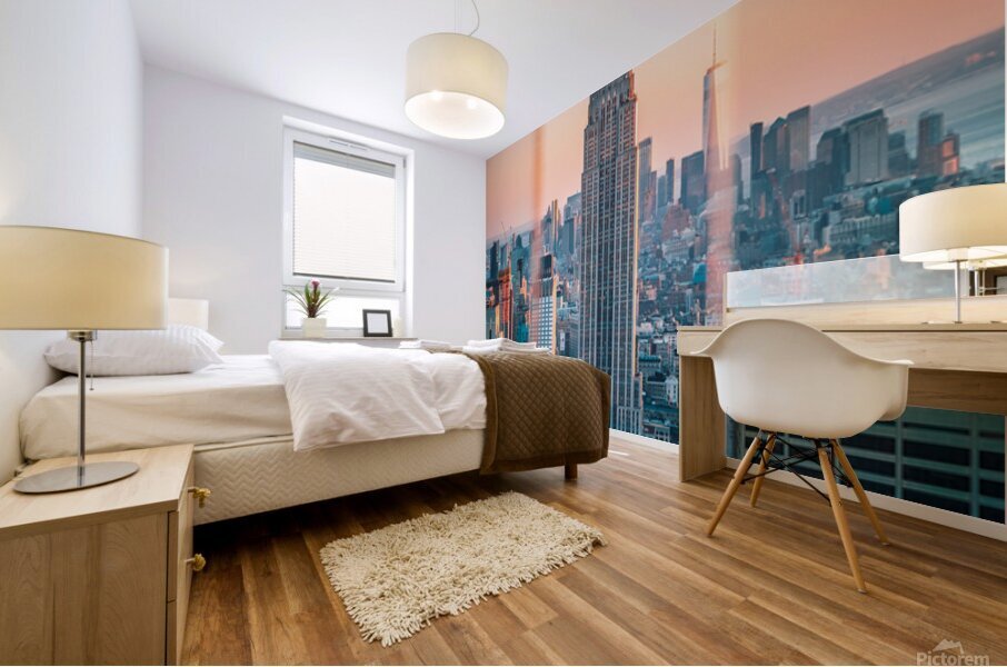 Empire State Afternoon Mural print