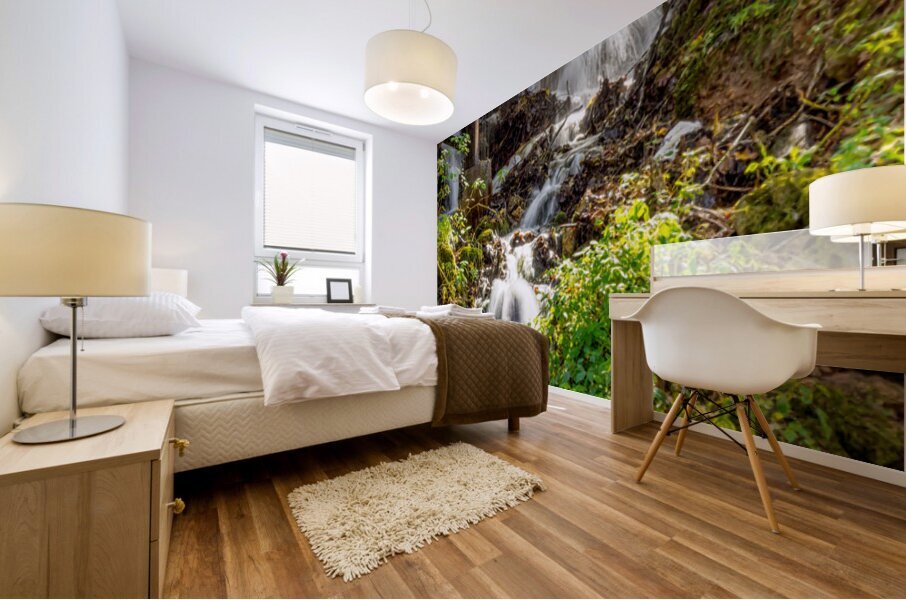 Rustic Falls At Reeds Spring Mill Mural print