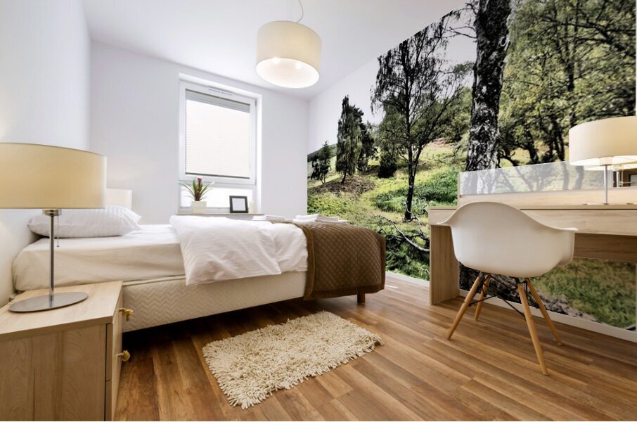  Scottish Highlands Peaceful Countryside                                                                                                                     Mural print