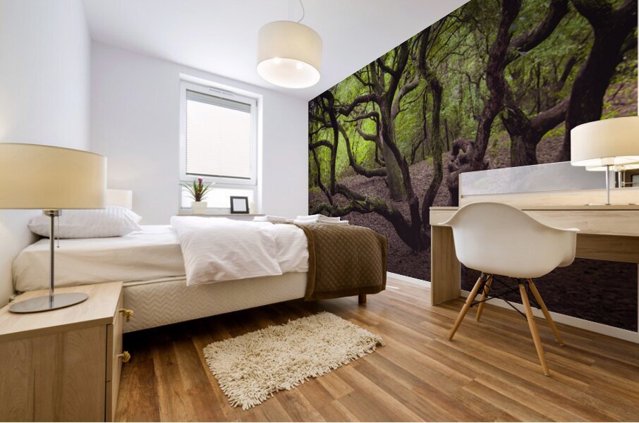 Enchanted Forest Scene Mural print