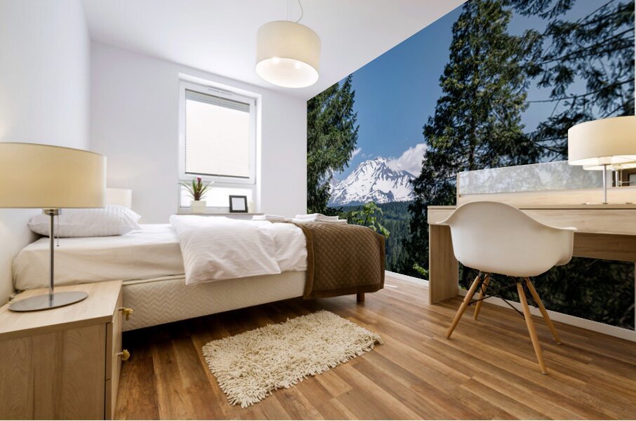 Mount Shasta framed with trees Mural print