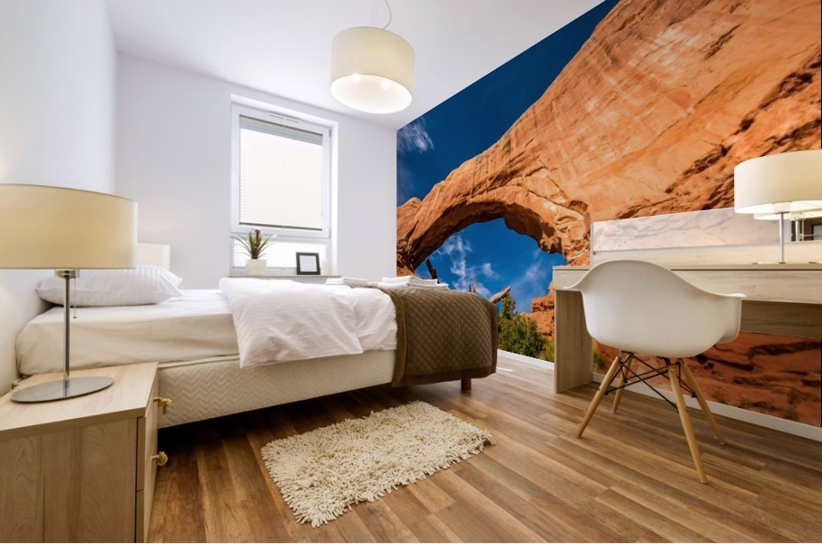 North Window 1 Mural print