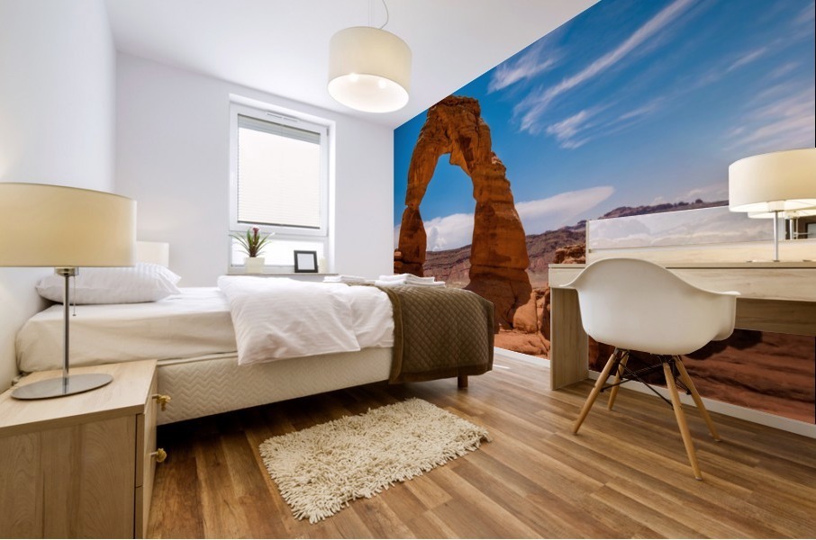 Delicate Arch Mural print