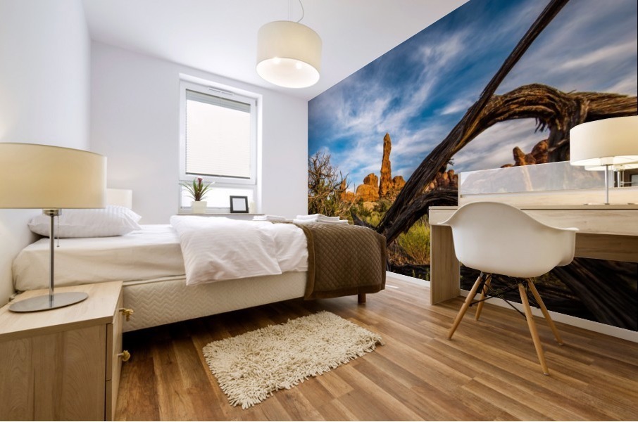 Golden Hour Mural print