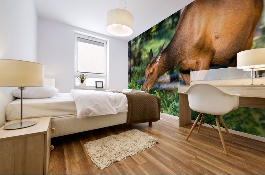 Baby Elk Mural print