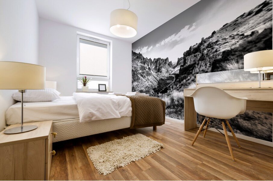 Birch Creek Ranch – Owyhee Canyonlands B&W Mural print