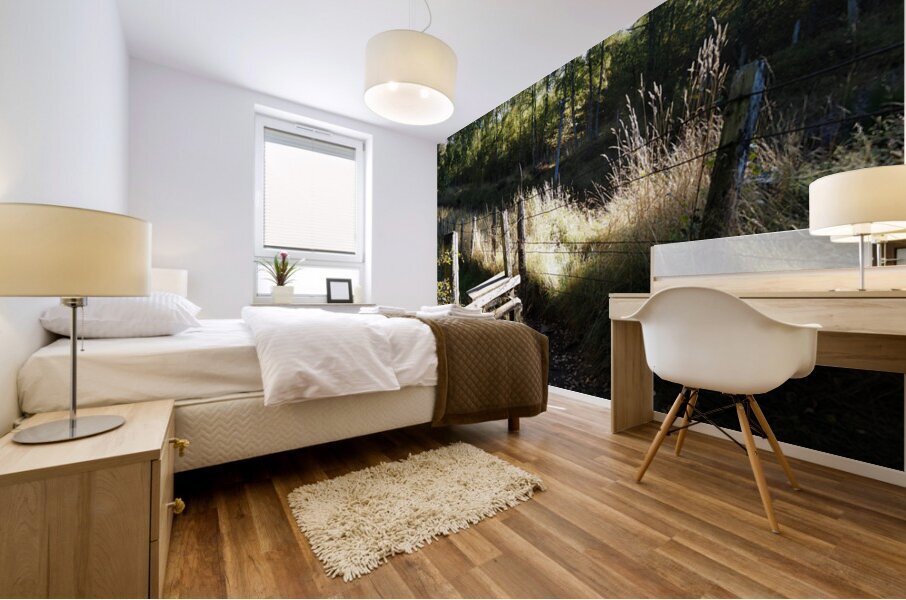 Stile in the Scottish Highlands                                                                                                                      Mural print