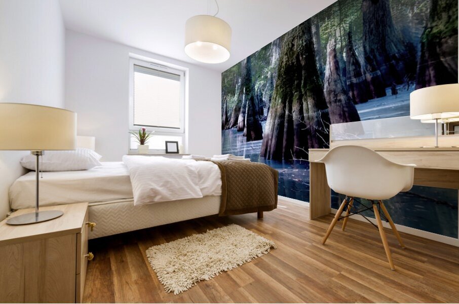 State Park Cypress Trees at Sunrise Mural print