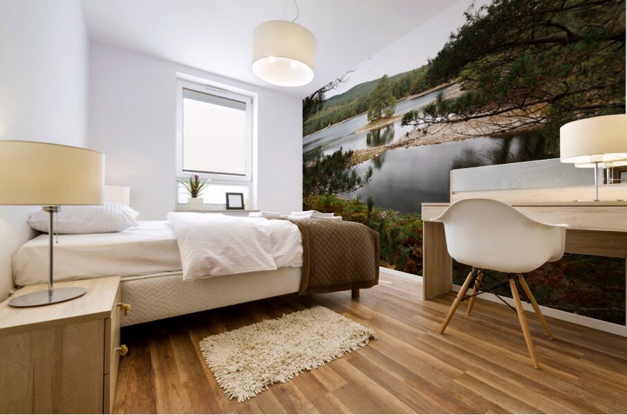 Beautiful View of Loch Vaa                                                                                                                      Mural print