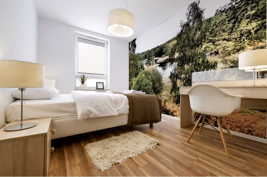 Serene Loch Vaa                                                                                                                      Mural print