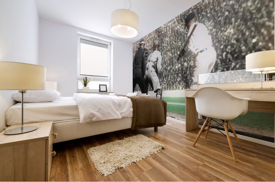 1924 Washington Senators At Bat Mural print