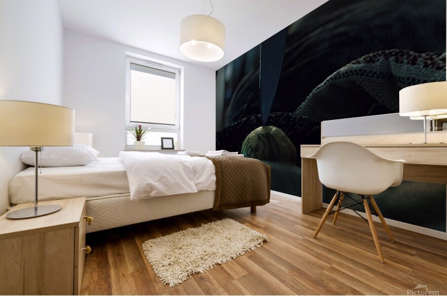 35316A64 5505 40B9 B50A BC840B683946 Mural print