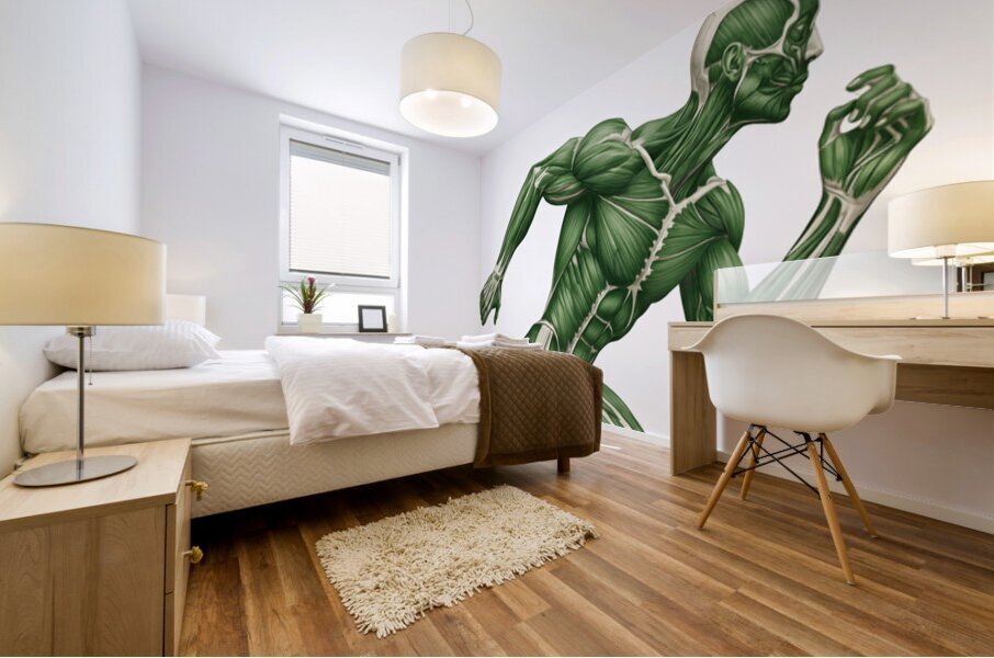Greenback Velocity — Runner Muscular Anatomy Mural print