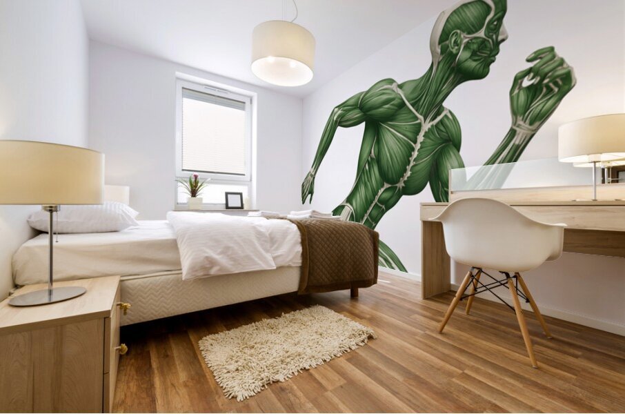 Human Muscle Anatomy in Motion –Greenback Female Energy Runner Mural print