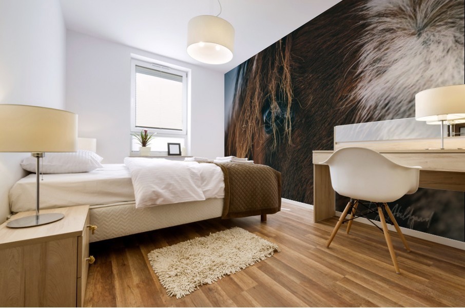 Macro Horse Eye Hi Res   A3 Mural print