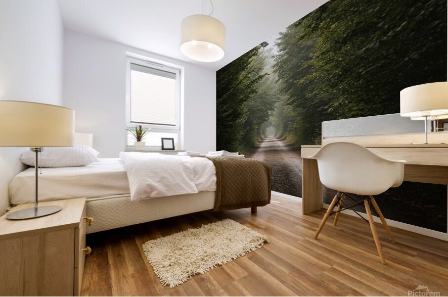 wall art Mural print