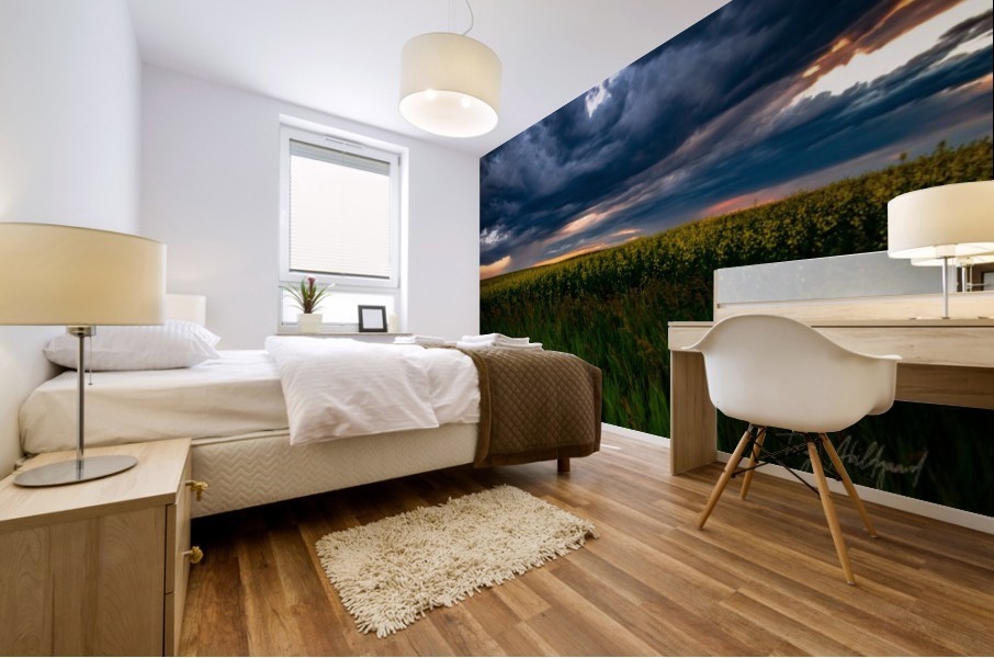 Storm Sunset Over Canola Hi Res   A3 Mural print