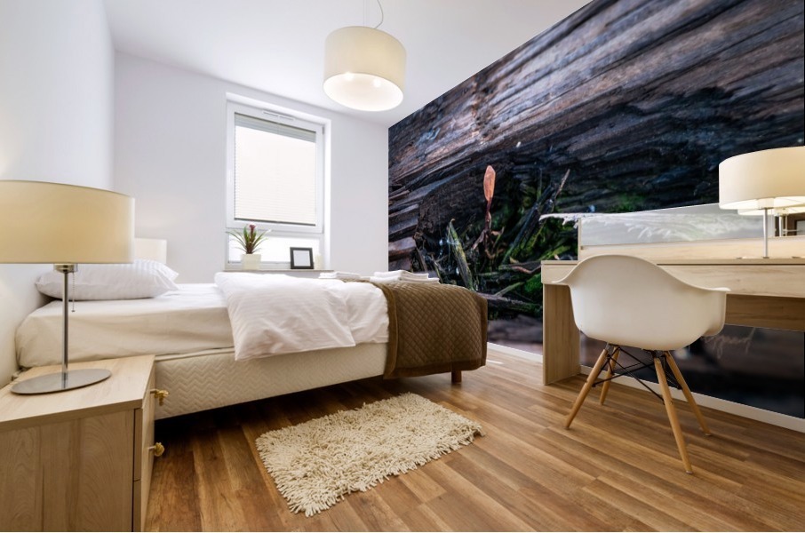 Life Finds a Way Hi Res   A3 Mural print