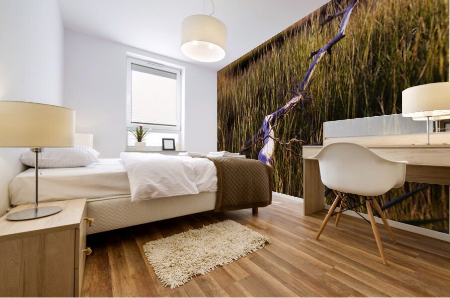 Illumination Marsh Tree at Sunset Mural print